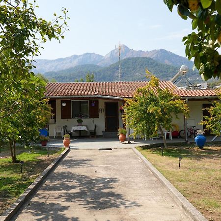 Olive Summer House Chrysi Ammoudia Exterior foto
