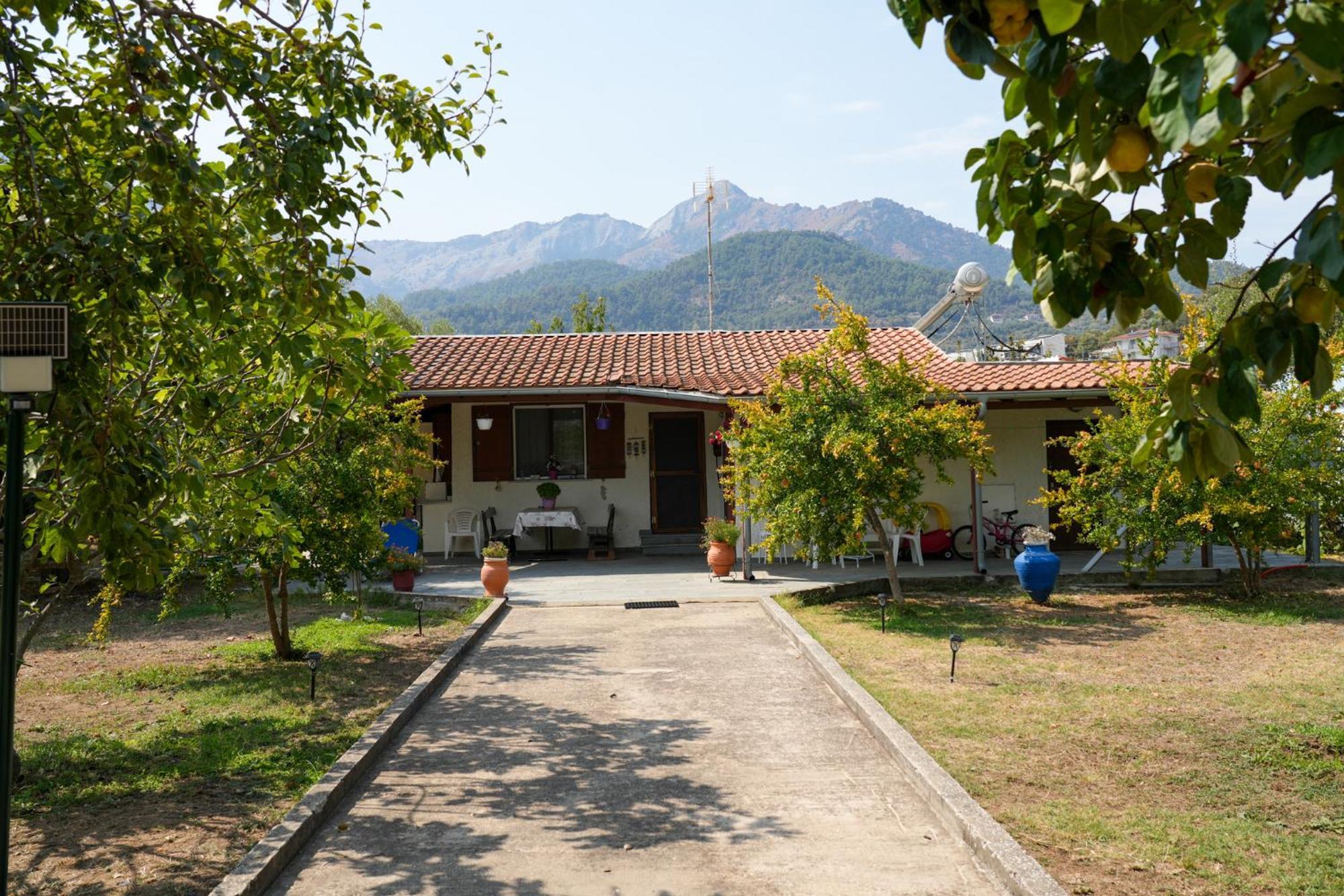 Olive Summer House Chrysi Ammoudia Exterior foto